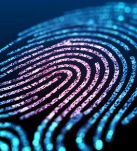 digital fingerprint