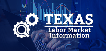 Texas Labor Market Information logo